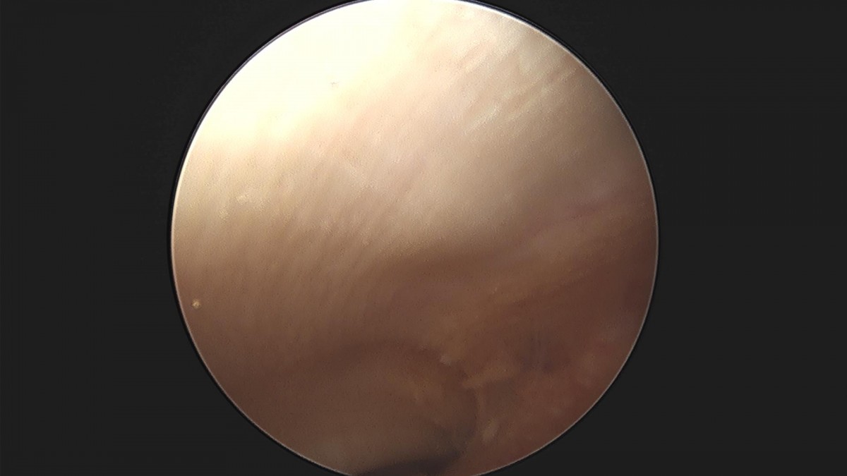 f537707b0b9f2537509492404de31ecf_1716861014_0991.jpg