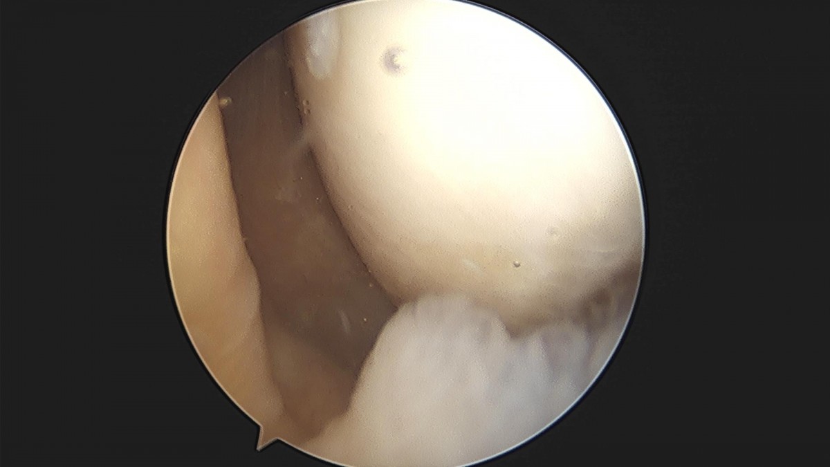 f537707b0b9f2537509492404de31ecf_1716861014_314.jpg