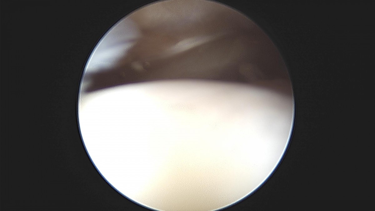 f537707b0b9f2537509492404de31ecf_1716861104_9949.jpg