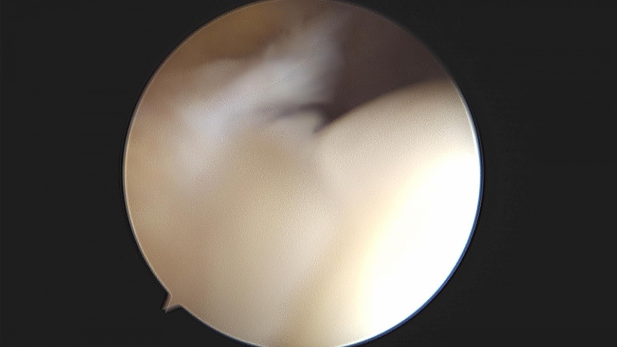 f537707b0b9f2537509492404de31ecf_1716861105_076.jpg