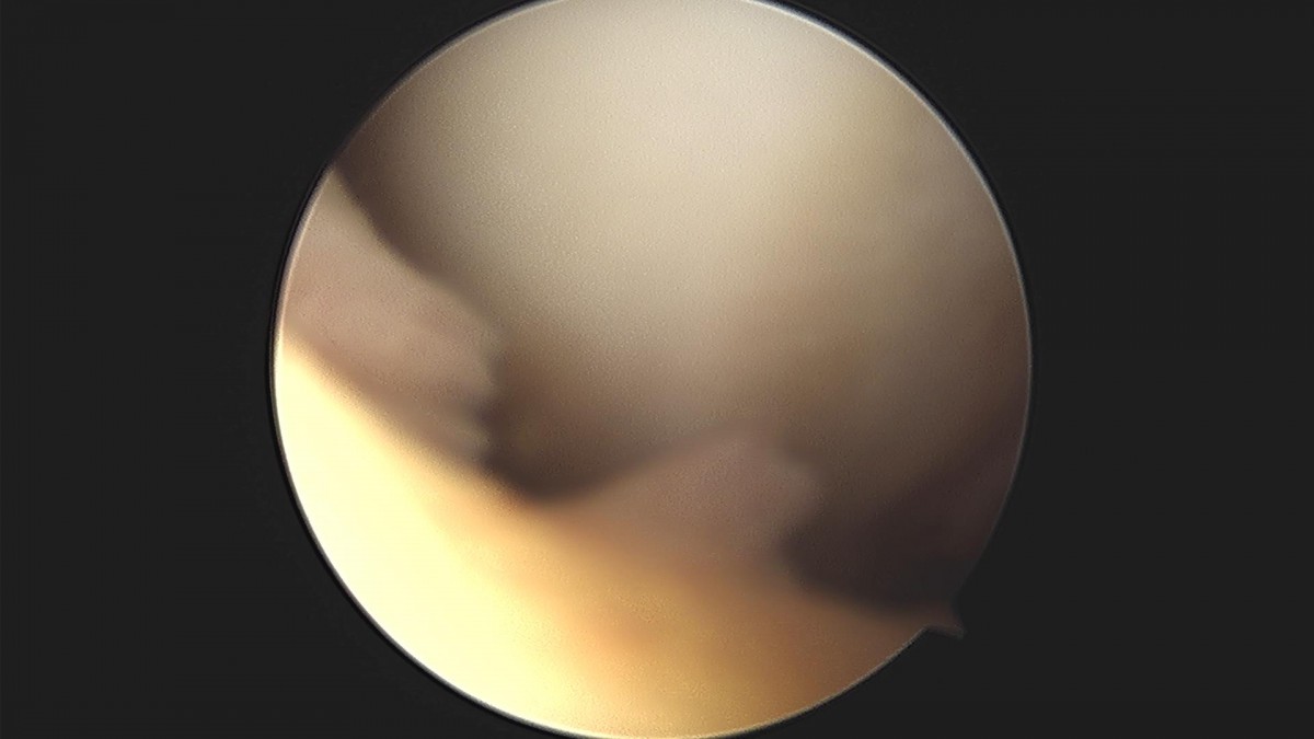 f537707b0b9f2537509492404de31ecf_1716861105_117.jpg