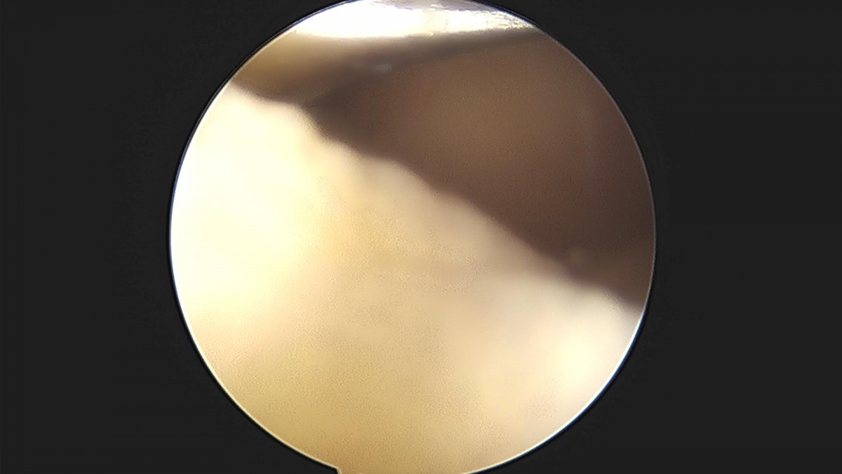 f537707b0b9f2537509492404de31ecf_1716861105_2873.jpg