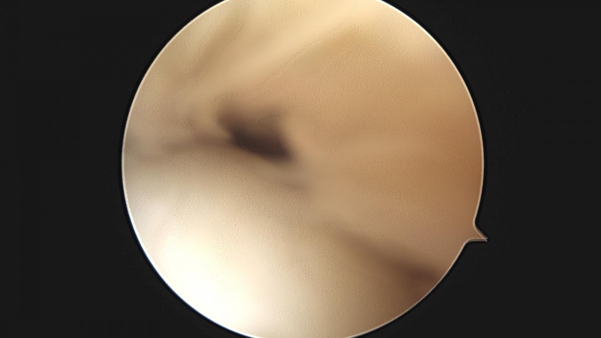 f537707b0b9f2537509492404de31ecf_1716861214_748.jpg