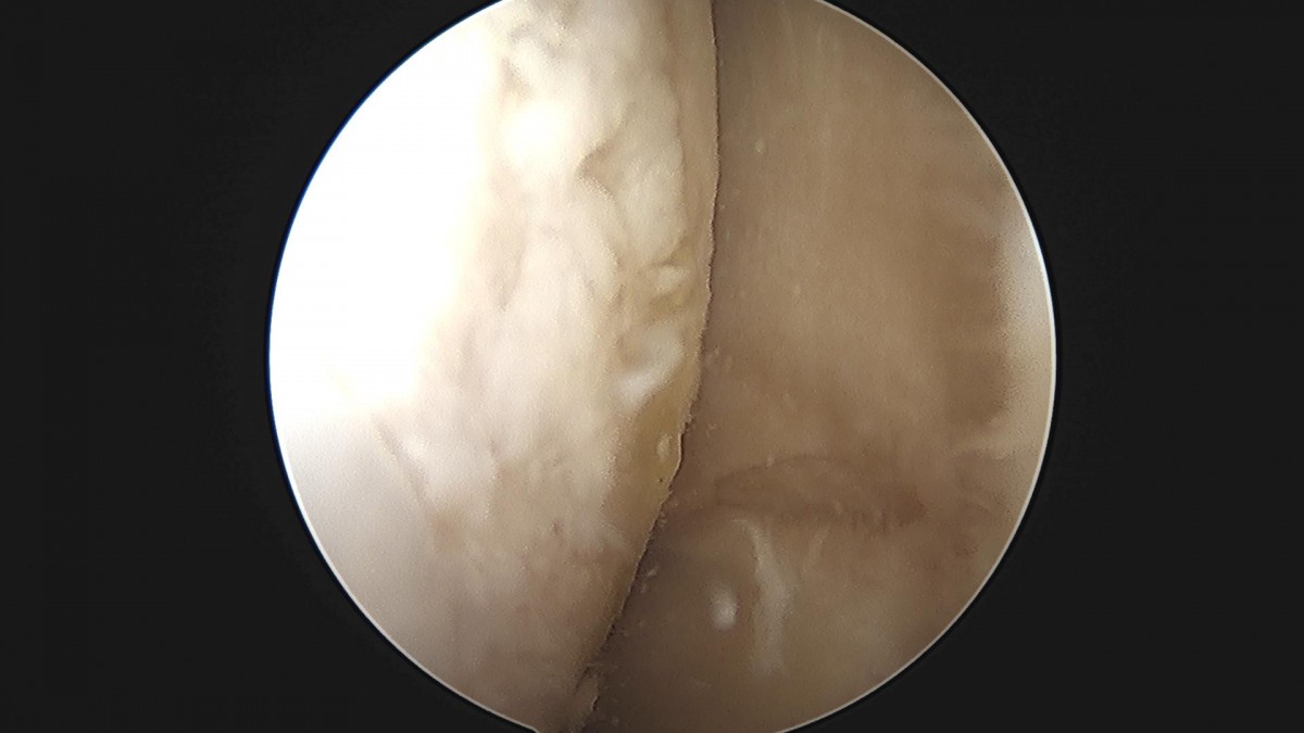f537707b0b9f2537509492404de31ecf_1716861215_3099.jpg