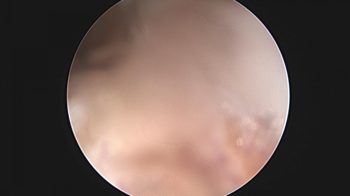 f537707b0b9f2537509492404de31ecf_1716861259_5359.jpg