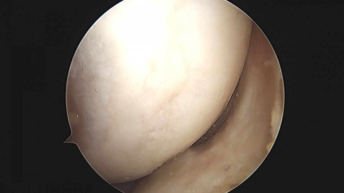 f537707b0b9f2537509492404de31ecf_1716861260_0293.jpg