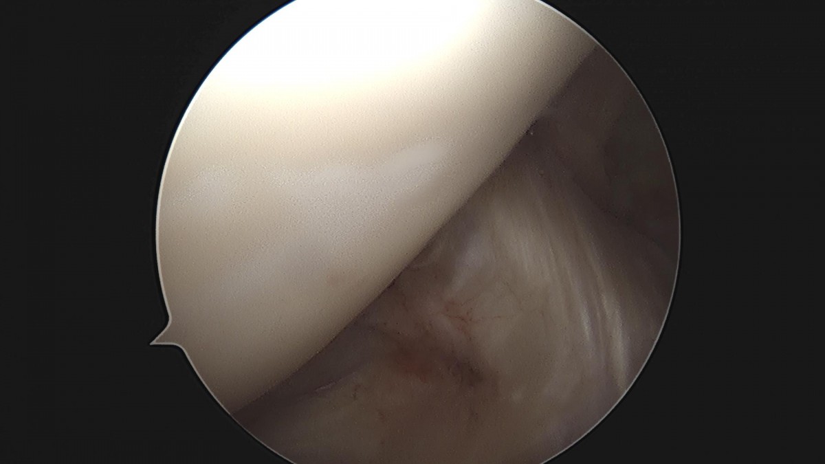 f537707b0b9f2537509492404de31ecf_1716861260_0768.jpg