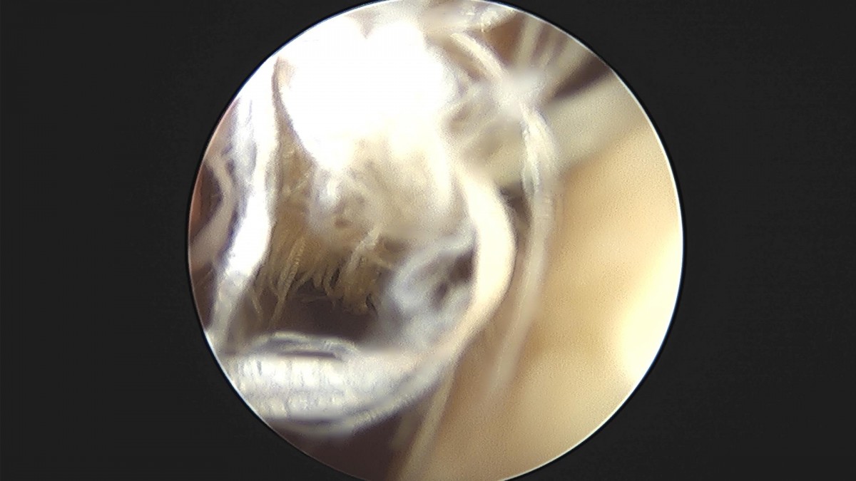 f537707b0b9f2537509492404de31ecf_1716861393_5439.jpg