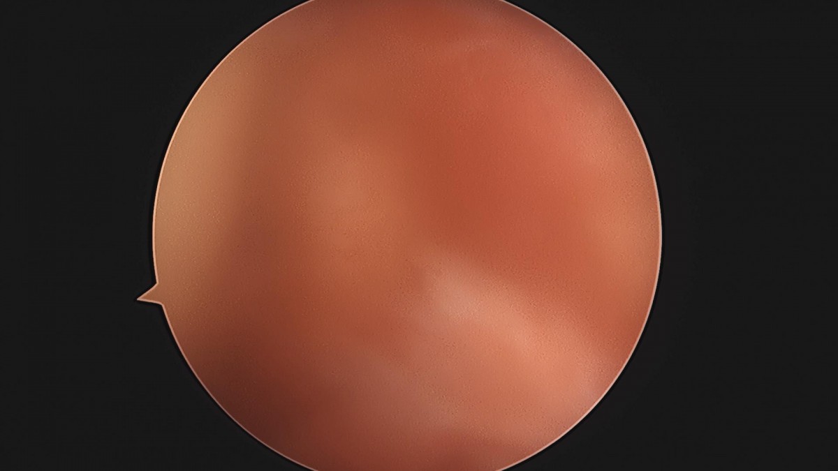 f537707b0b9f2537509492404de31ecf_1716861633_3613.jpg