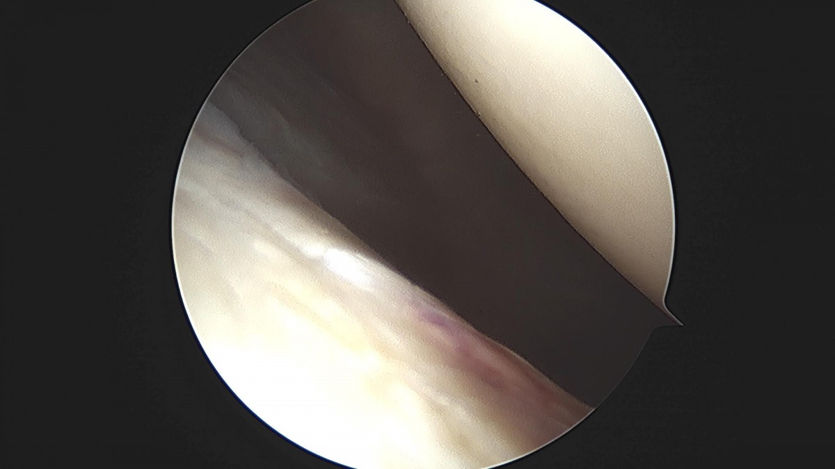 f537707b0b9f2537509492404de31ecf_1716861875_5062.jpg