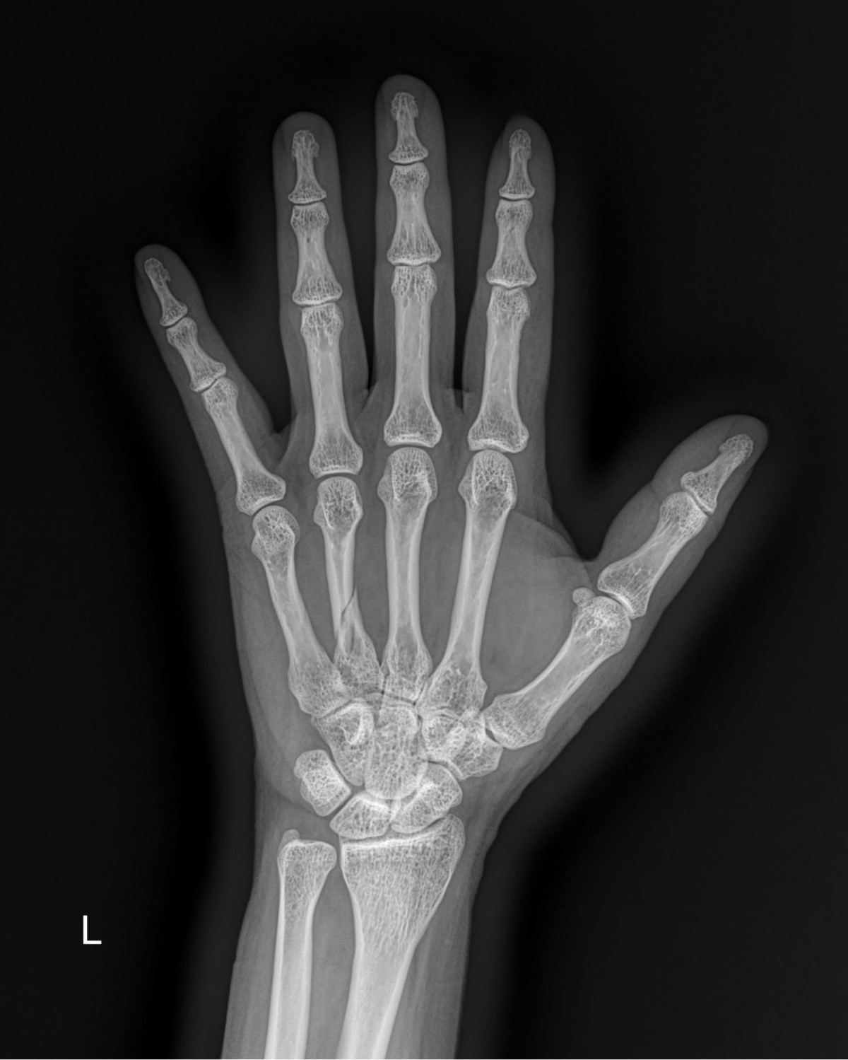 f537707b0b9f2537509492404de31ecf_1716862961_6779.jpg