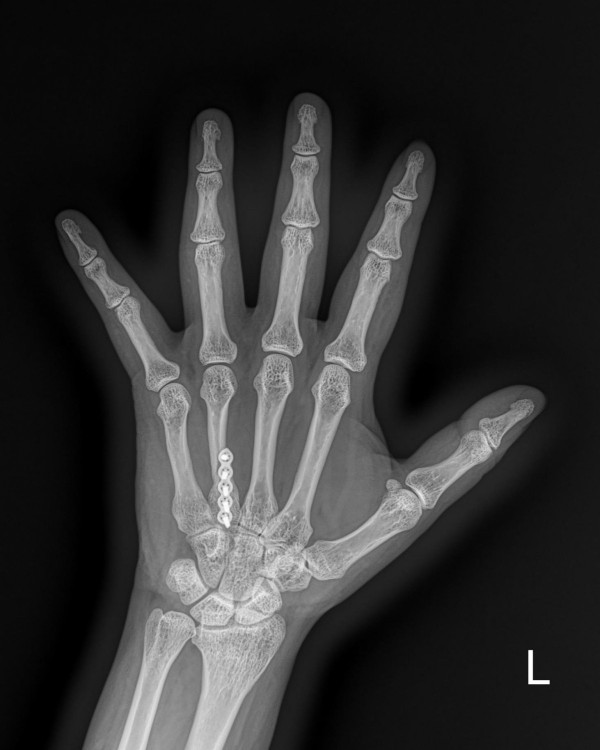 f537707b0b9f2537509492404de31ecf_1716862973_3787.jpg