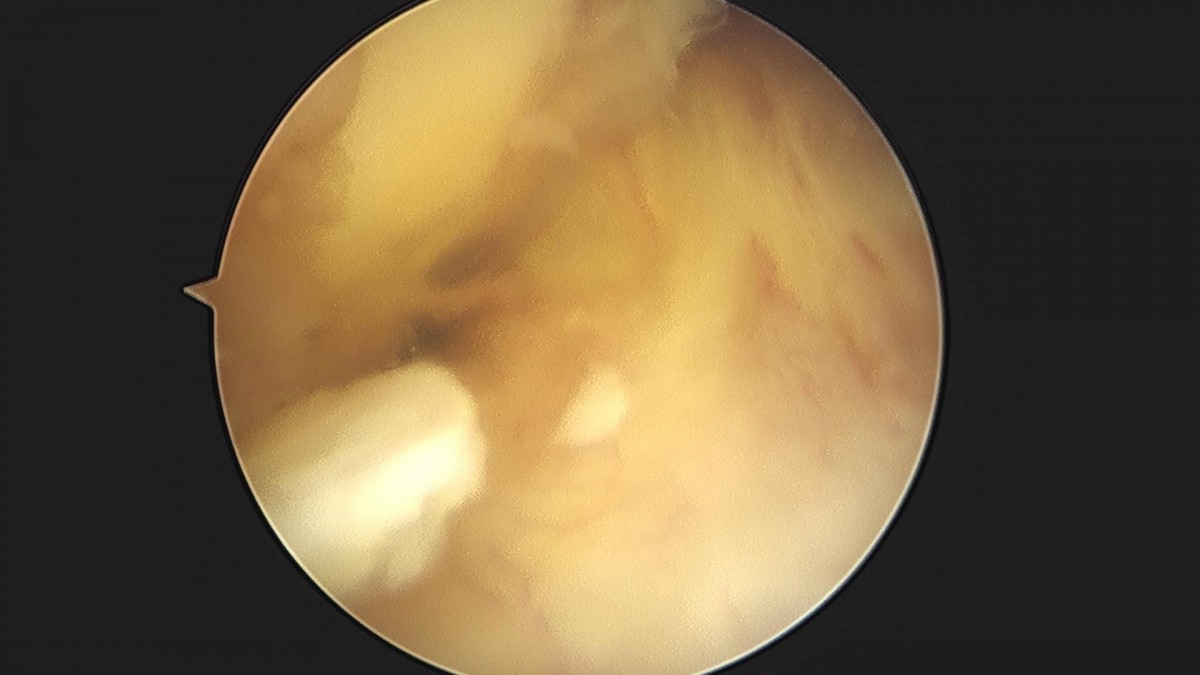 f537707b0b9f2537509492404de31ecf_1716863393_6387.jpg