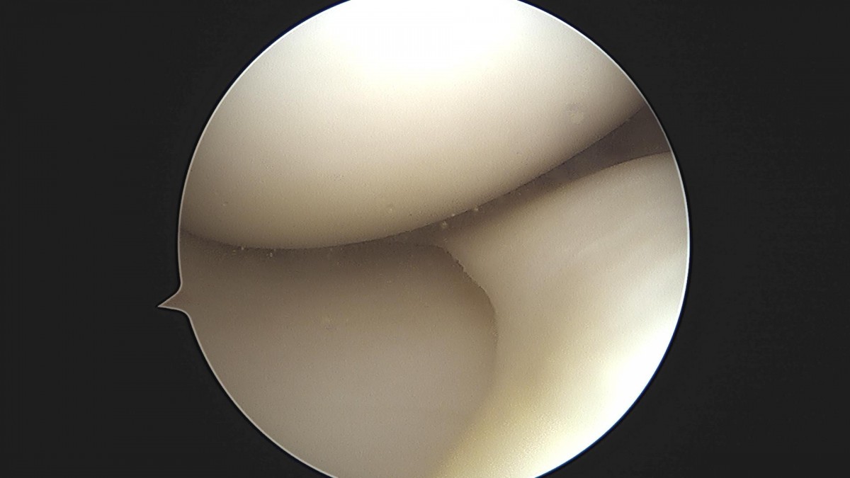 a5bb5aa2c868c534dc48e760e3eaf4b4_1720234959_3461.jpg