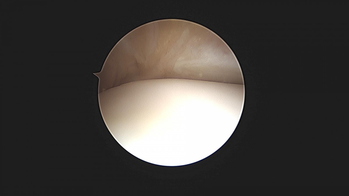 a5bb5aa2c868c534dc48e760e3eaf4b4_1720235192_8281.jpg