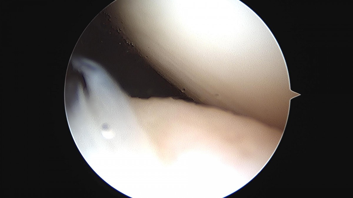 ced564e82cd3cb8348055274ccb26d33_1721285129_1421.jpg