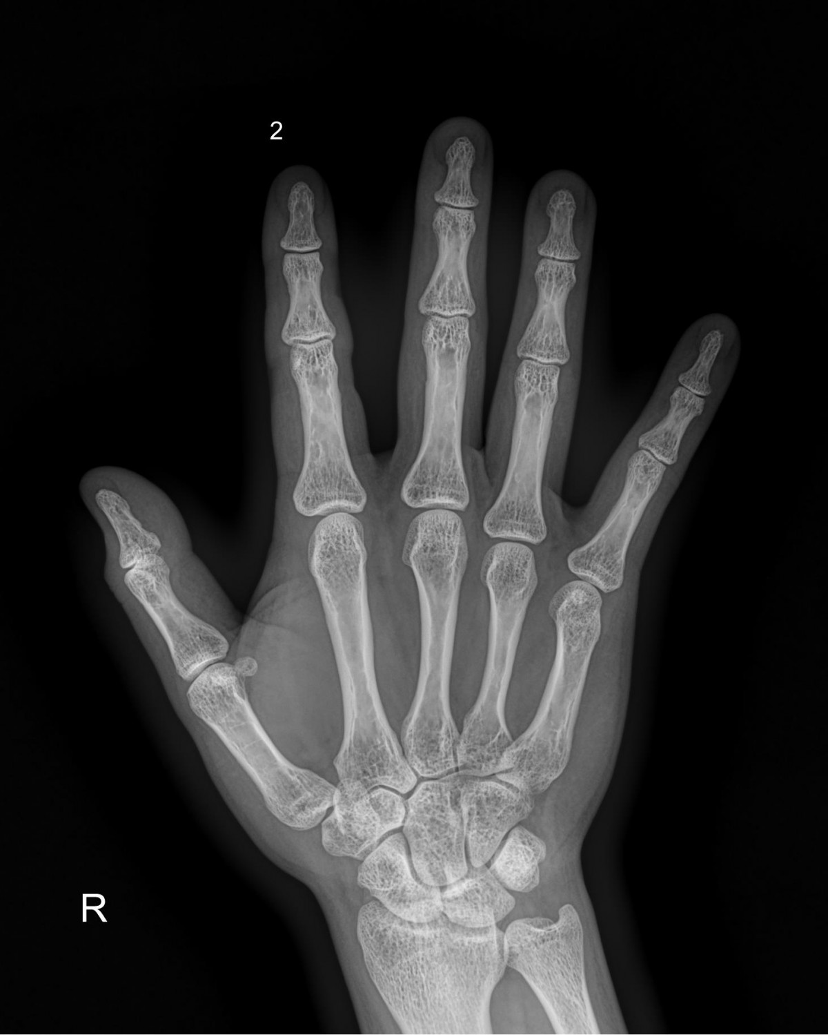 ced564e82cd3cb8348055274ccb26d33_1721285391_4946.jpg