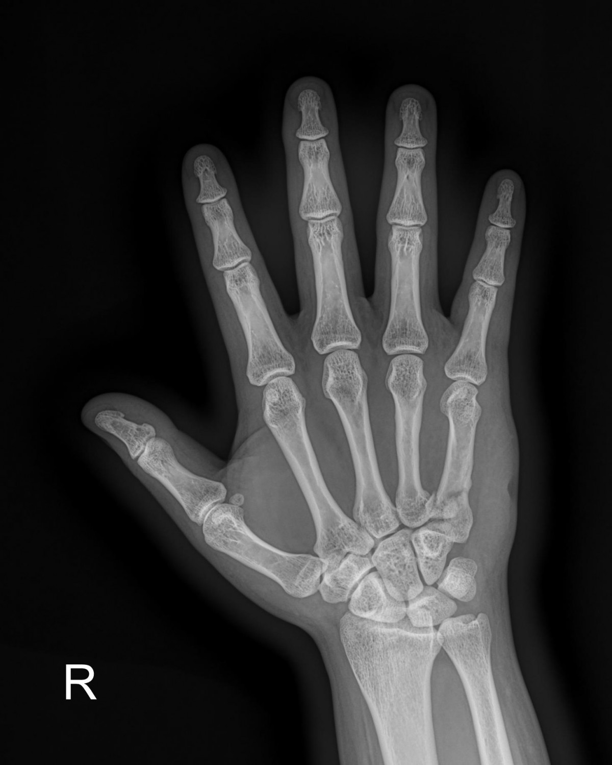 ced564e82cd3cb8348055274ccb26d33_1721285473_246.jpg