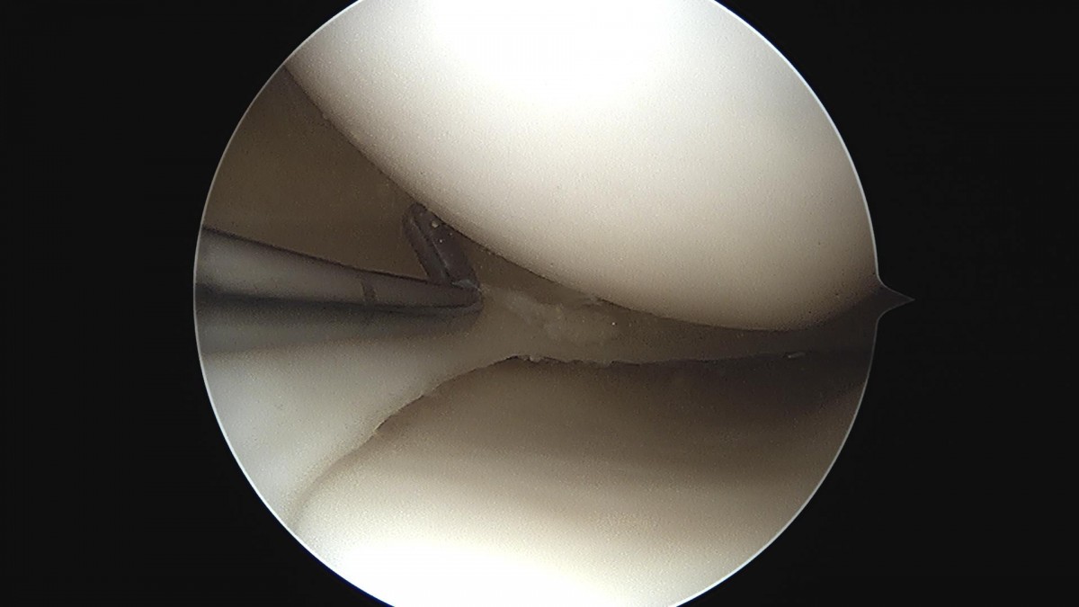 ced564e82cd3cb8348055274ccb26d33_1721285803_018.jpg