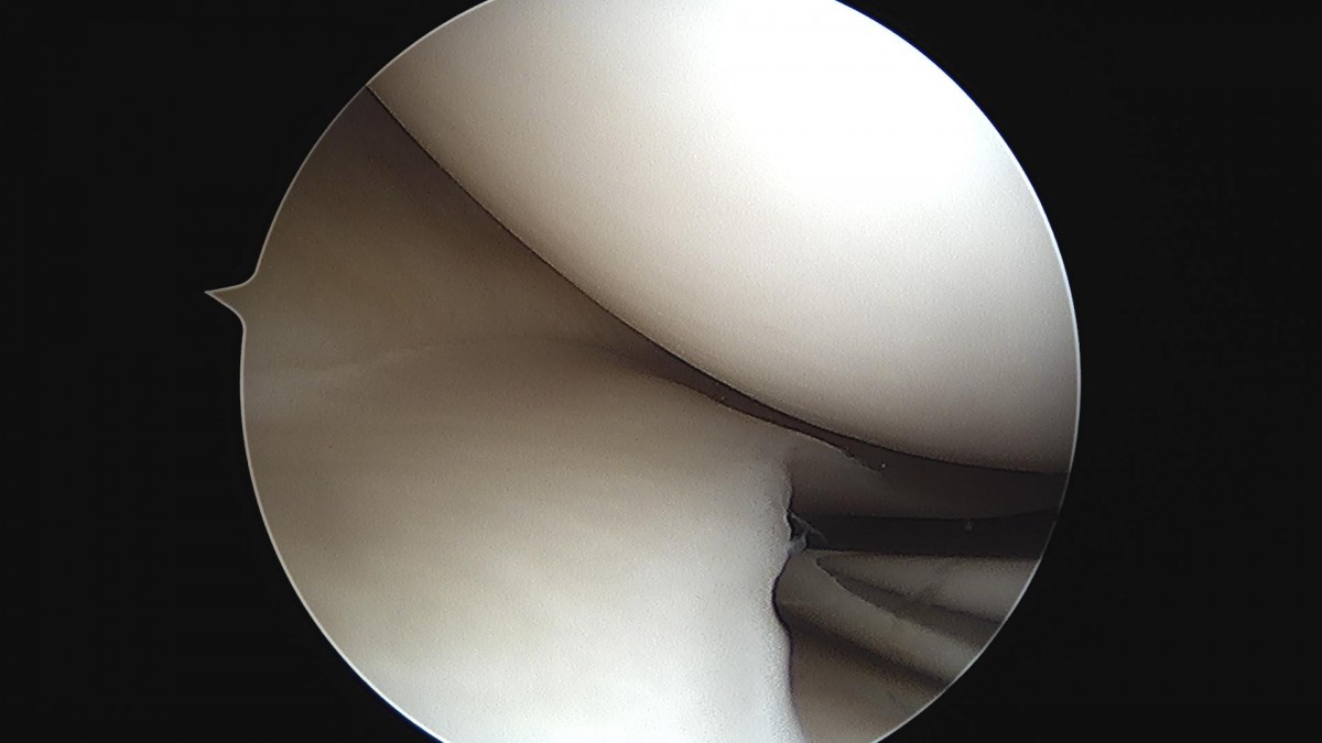 ced564e82cd3cb8348055274ccb26d33_1721285803_2656.jpg