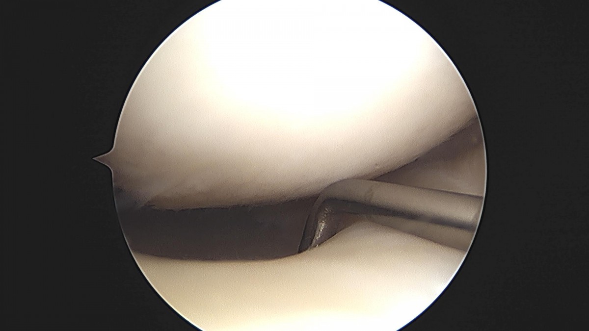 ced564e82cd3cb8348055274ccb26d33_1721285867_798.jpg