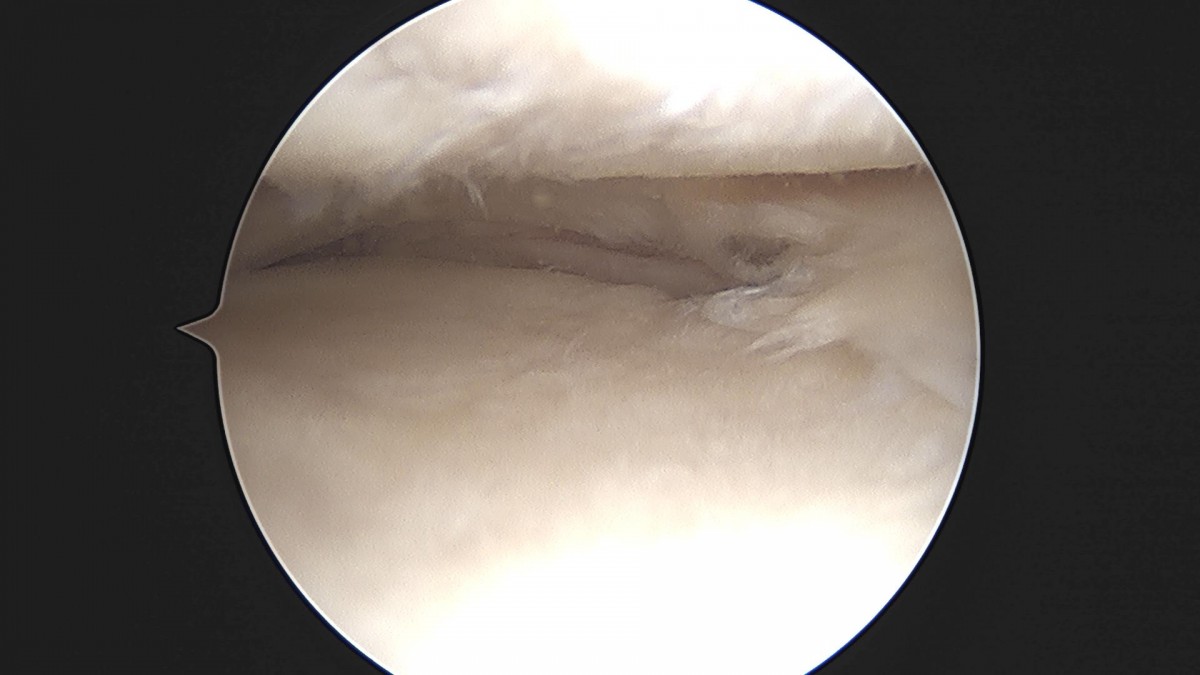 ced564e82cd3cb8348055274ccb26d33_1721285867_9614.jpg