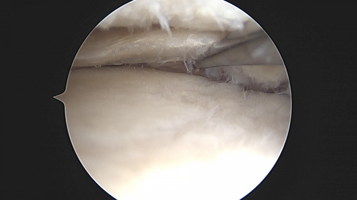ced564e82cd3cb8348055274ccb26d33_1721285868_127.jpg