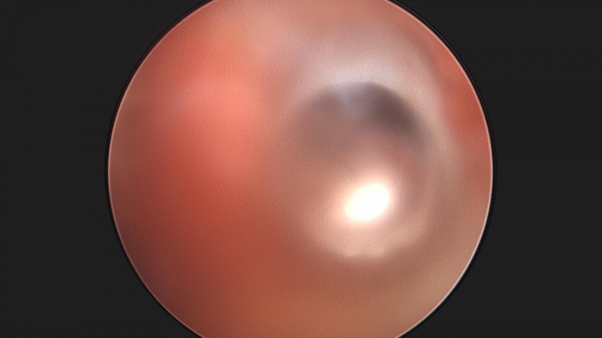 32341c324db2d176f34ec014ac758183_1729061875_4413.jpg