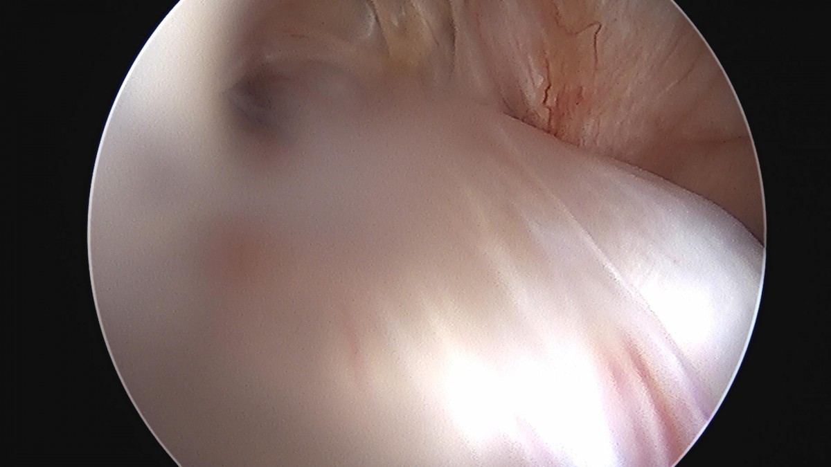 32341c324db2d176f34ec014ac758183_1729062201_9046.jpg