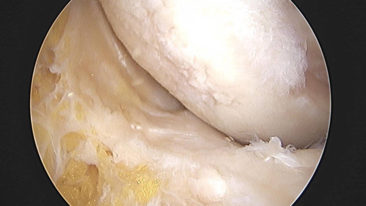 32341c324db2d176f34ec014ac758183_1729062296_3911.jpg