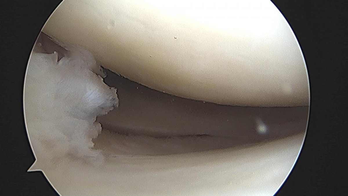 32341c324db2d176f34ec014ac758183_1729062296_5969.jpg