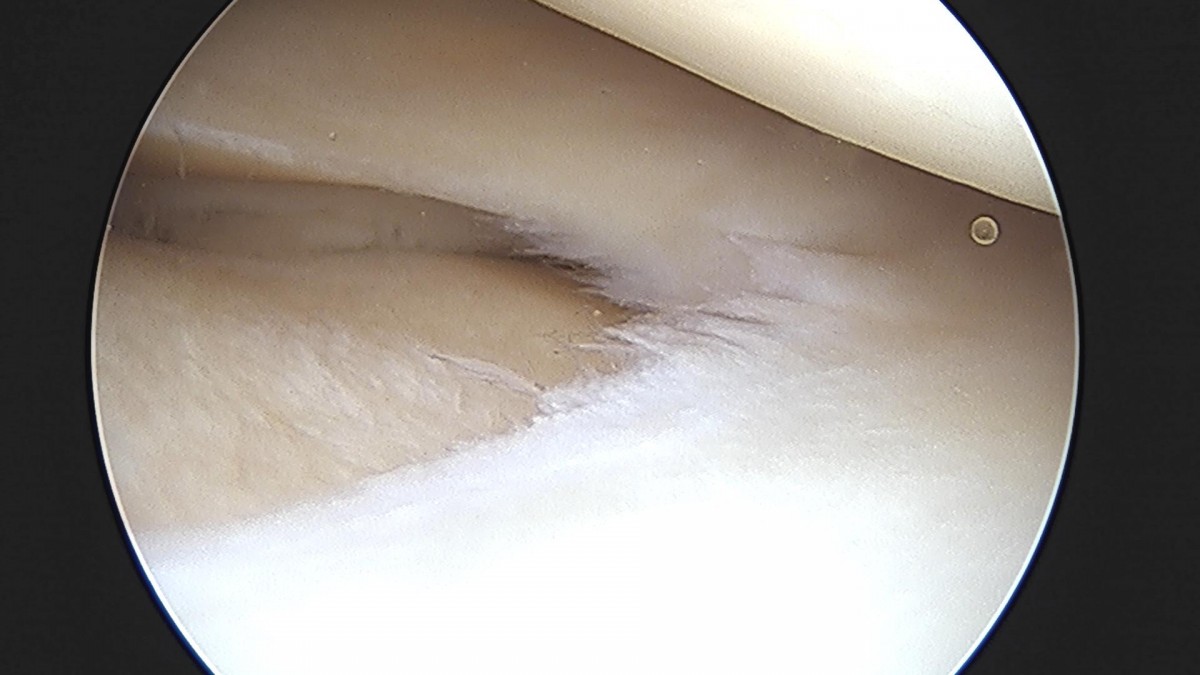 32341c324db2d176f34ec014ac758183_1729062296_6932.jpg