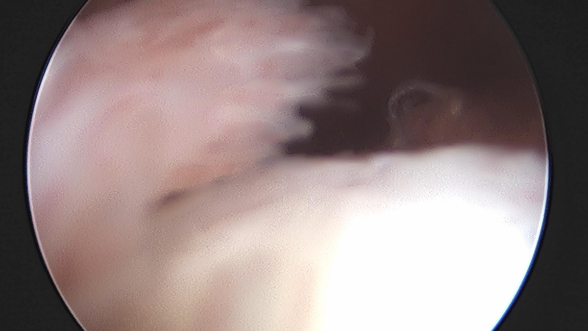 32341c324db2d176f34ec014ac758183_1729062357_8641.jpg