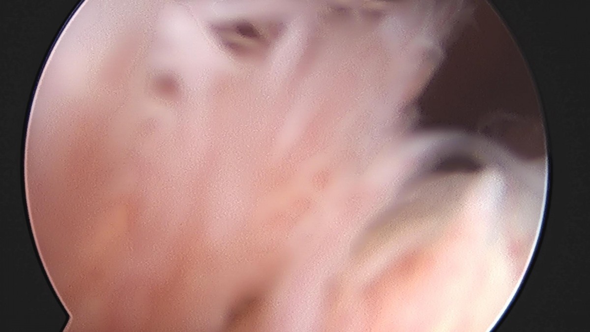 32341c324db2d176f34ec014ac758183_1729062357_9311.jpg