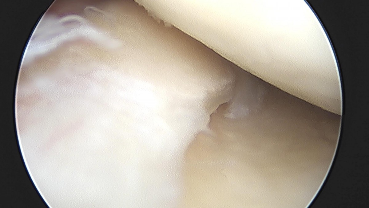 32341c324db2d176f34ec014ac758183_1729062357_9913.jpg
