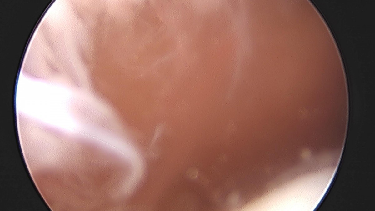 32341c324db2d176f34ec014ac758183_1729062358_0364.jpg