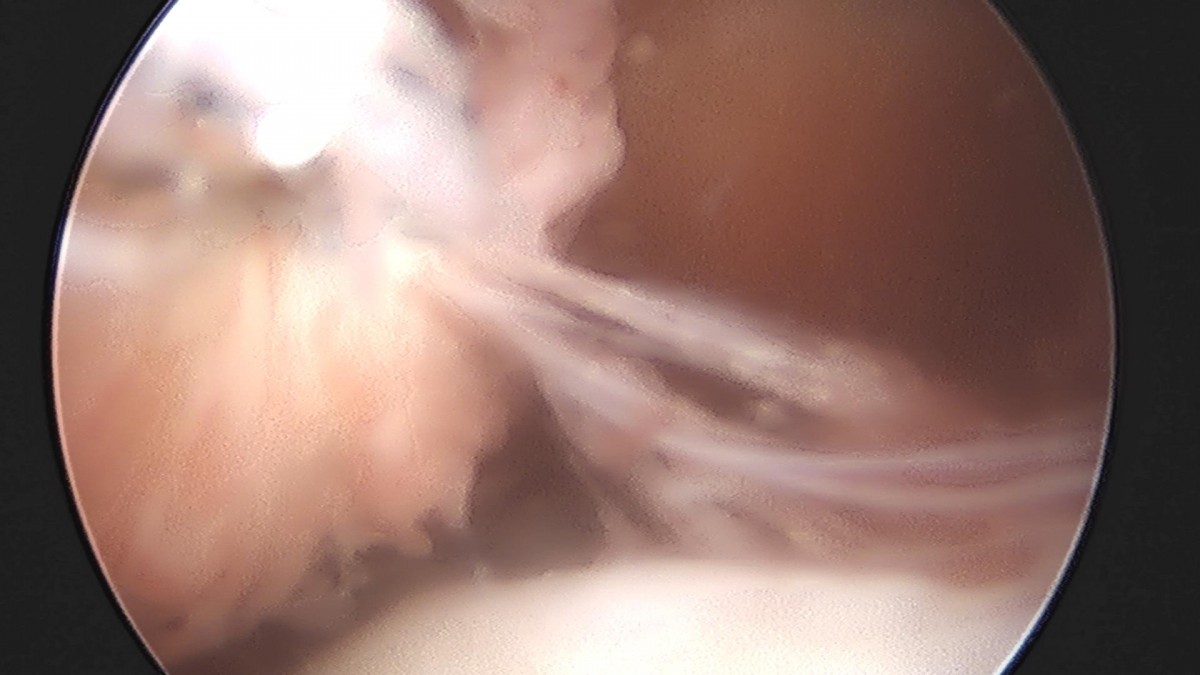 32341c324db2d176f34ec014ac758183_1729062358_0819.jpg