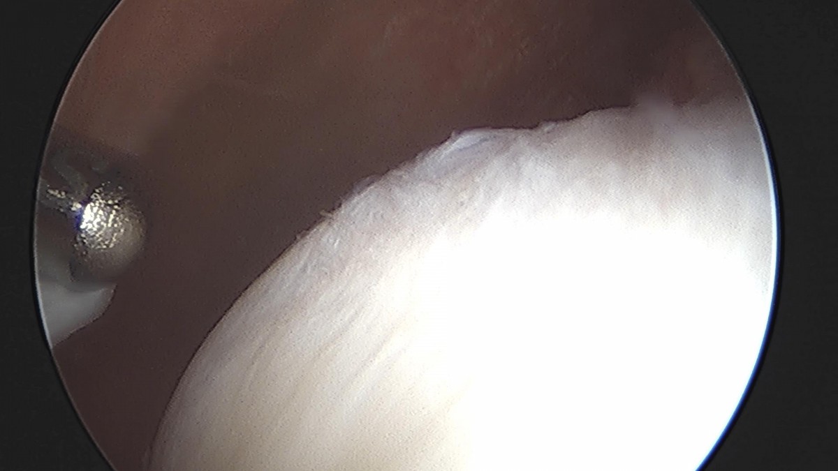 32341c324db2d176f34ec014ac758183_1729062358_17.jpg
