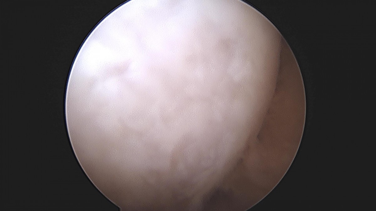 32341c324db2d176f34ec014ac758183_1729062667_9051.jpg