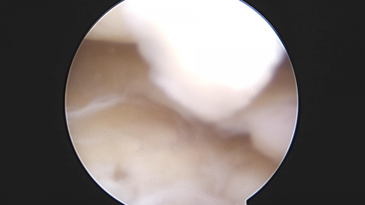 32341c324db2d176f34ec014ac758183_1729062668_3018.jpg