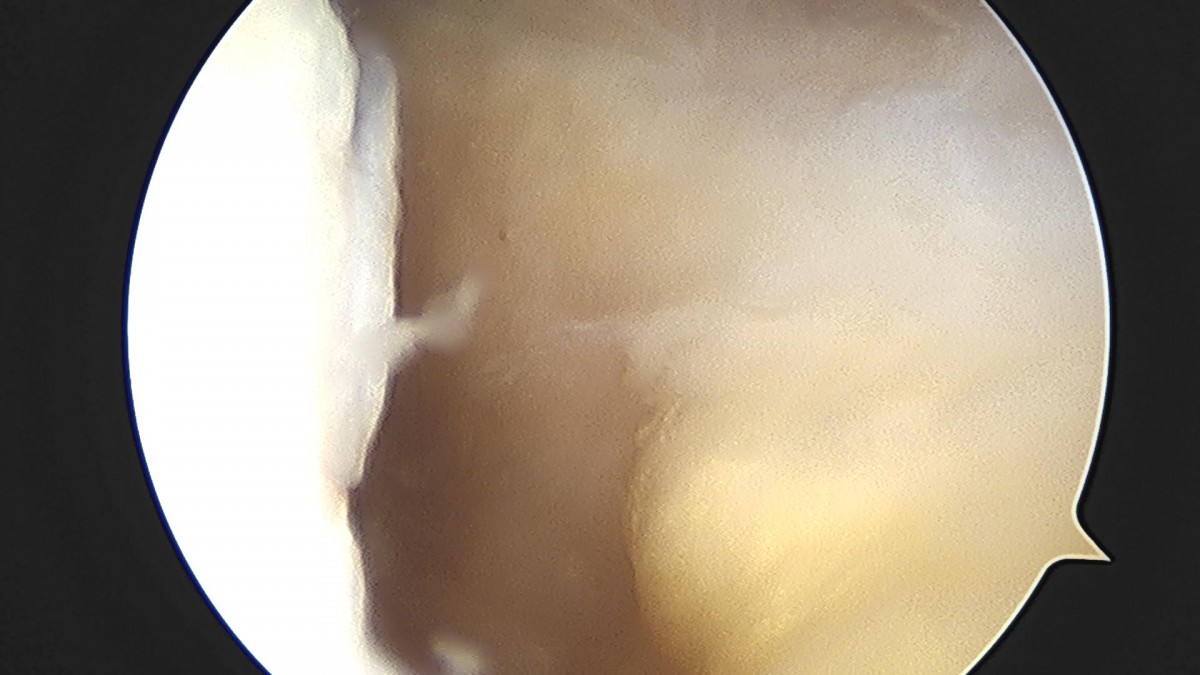 32341c324db2d176f34ec014ac758183_1729062764_6831.jpg
