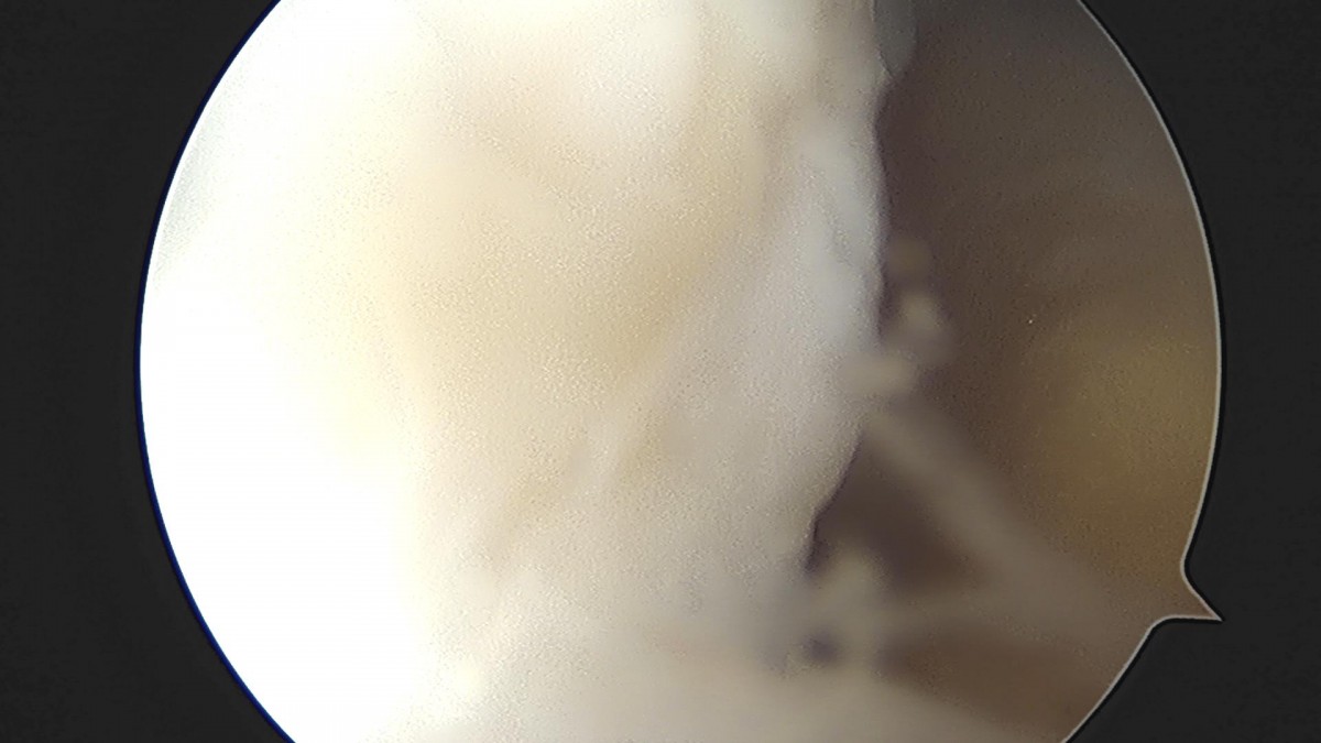 32341c324db2d176f34ec014ac758183_1729062764_7671.jpg