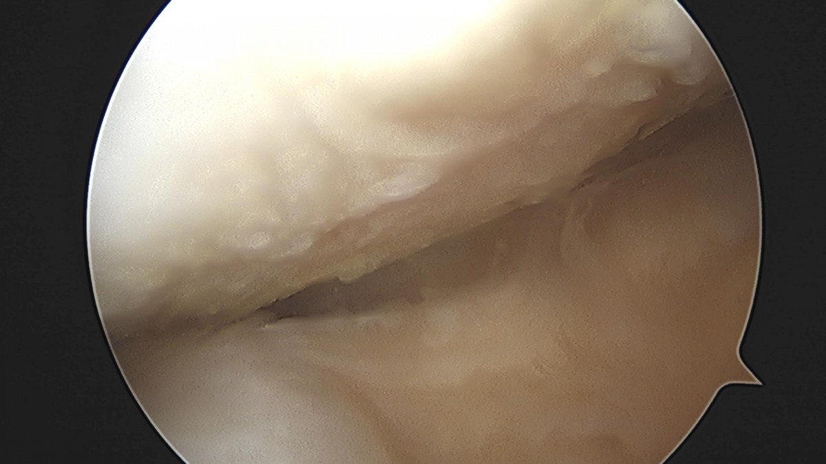32341c324db2d176f34ec014ac758183_1729062764_8104.jpg