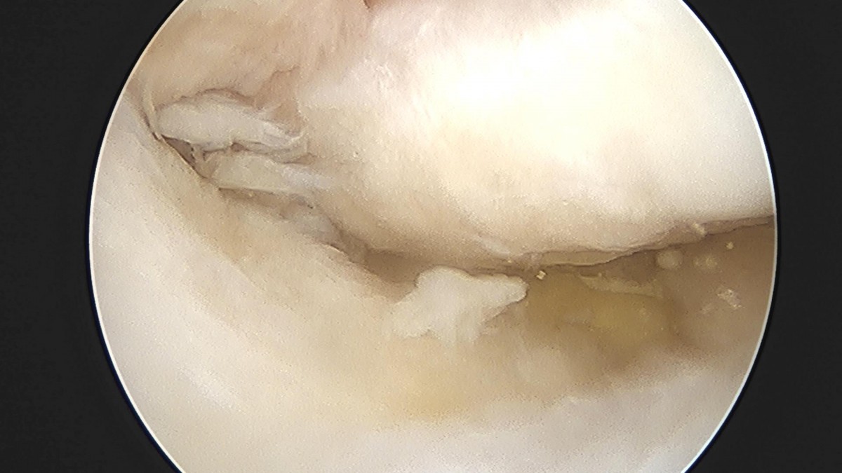 32341c324db2d176f34ec014ac758183_1729062764_8571.jpg