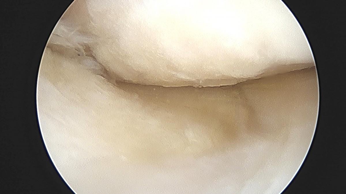 32341c324db2d176f34ec014ac758183_1729062764_9026.jpg