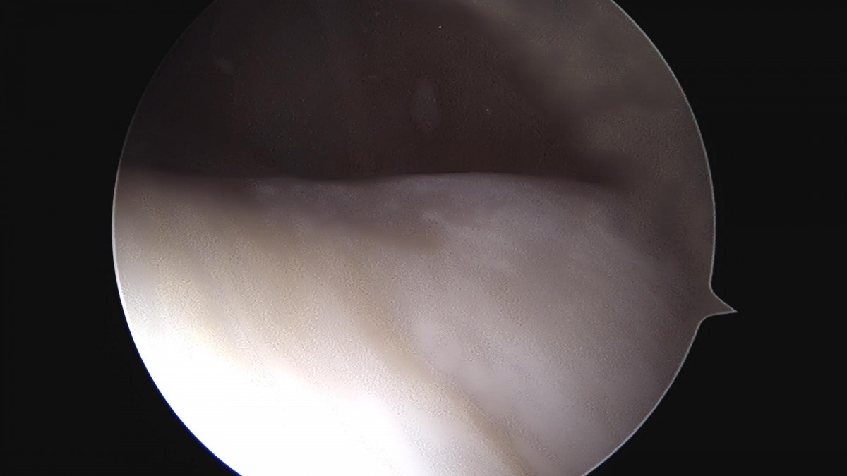 32341c324db2d176f34ec014ac758183_1729062816_9242.jpg