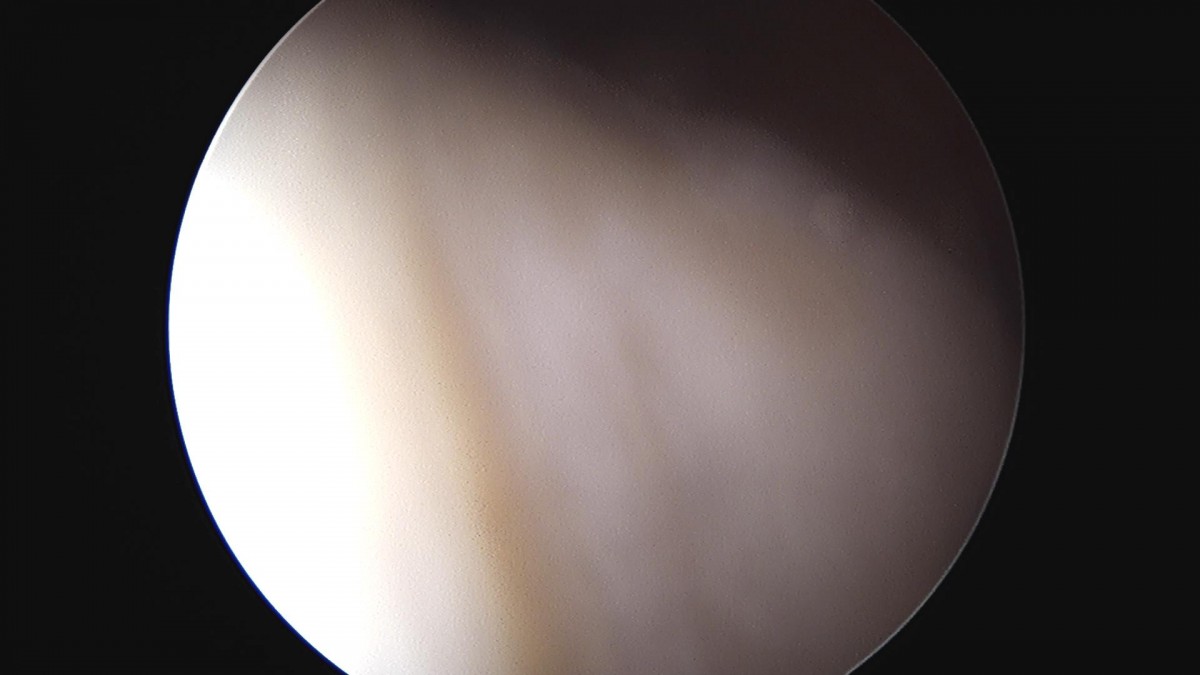 32341c324db2d176f34ec014ac758183_1729062817_0233.jpg