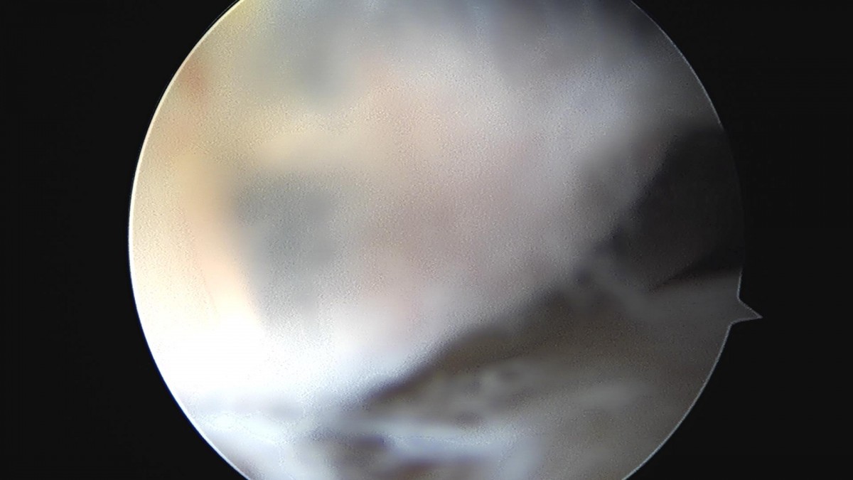 32341c324db2d176f34ec014ac758183_1729063038_7926.jpg
