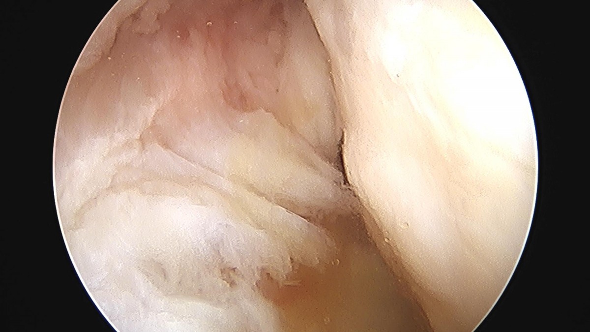 32341c324db2d176f34ec014ac758183_1729063257_108.jpg