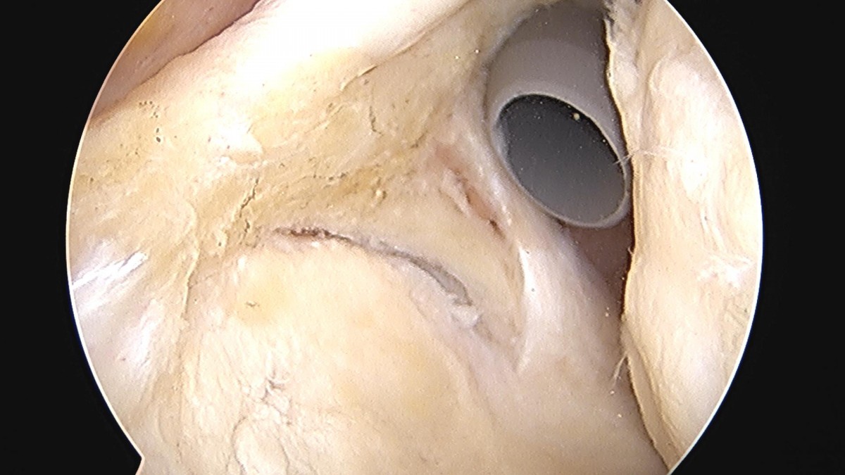 32341c324db2d176f34ec014ac758183_1729063257_4591.jpg